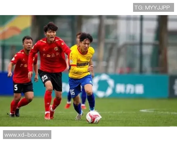 新乡足球明星队全新阵容揭晓期待他们在赛场上的精彩表现