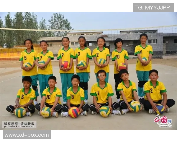 杨静独家分享排球心得与技巧助你提升球技的秘密之道