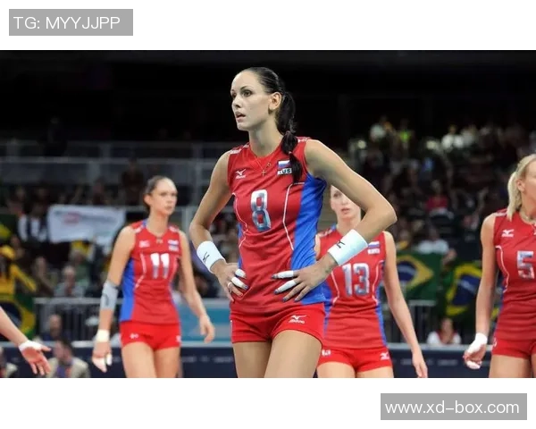 赵娜专访：从青涩球员到排球女神的奋斗与成长之路